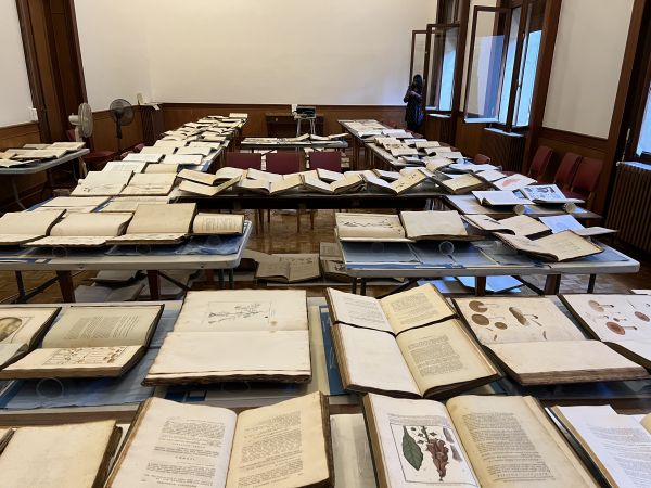 13 mars 2026 - Prochaine rencontre du groupe de travail PSBC à Montpellier sur le thème du matériel d'urgence inondation