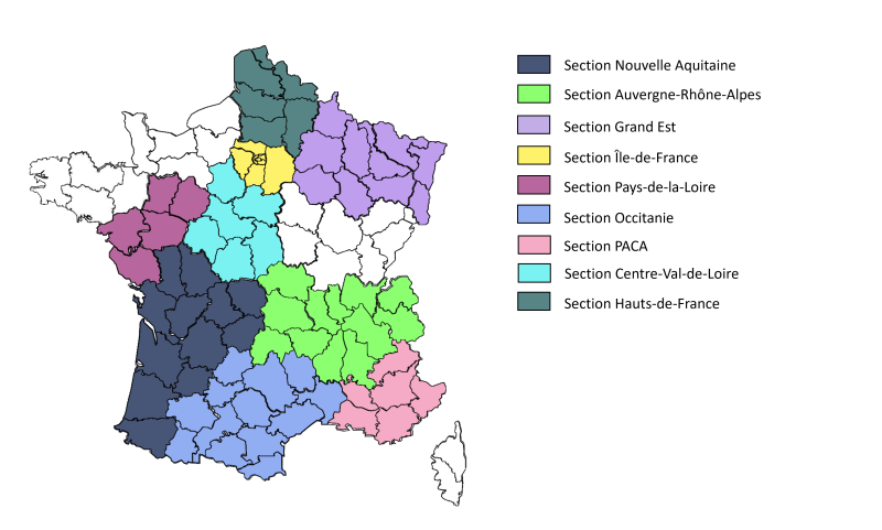 Les sections du BbF se réorganisent